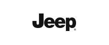 Car logo duplicate 1